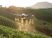drone sprayer