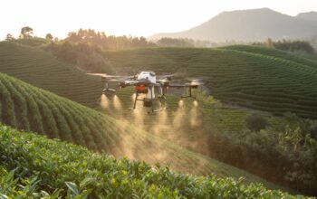 Drone Sprayer: Apa Itu, Kenapa, Cara Kerja dan Harga