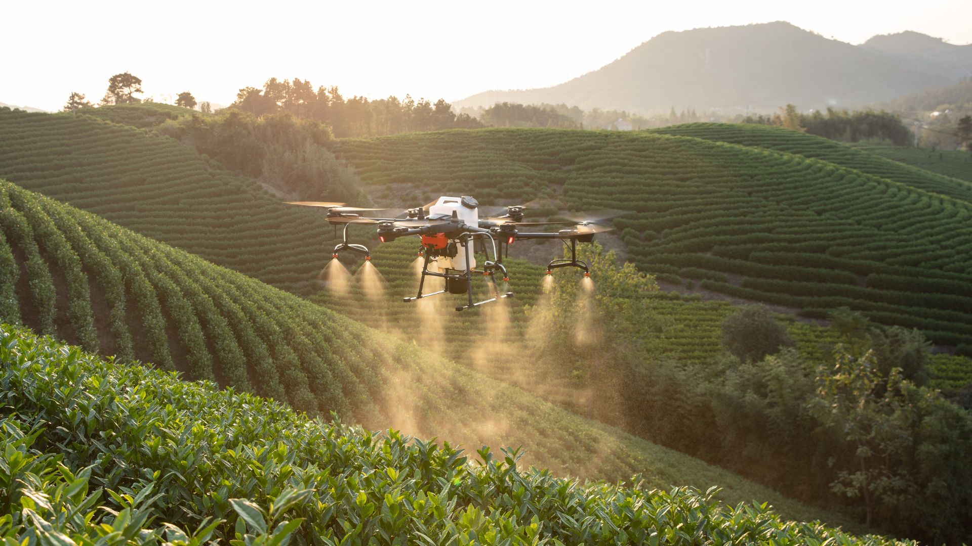 drone sprayer