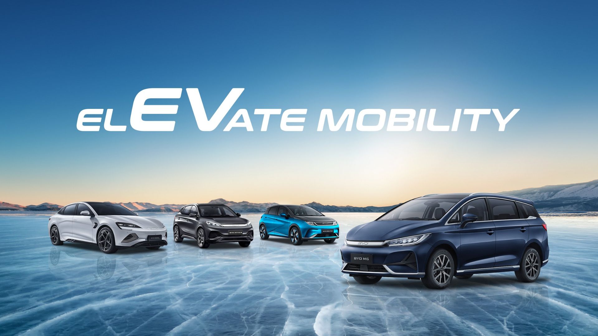 harga byd