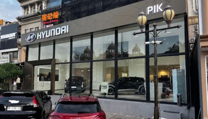 hyundai pik